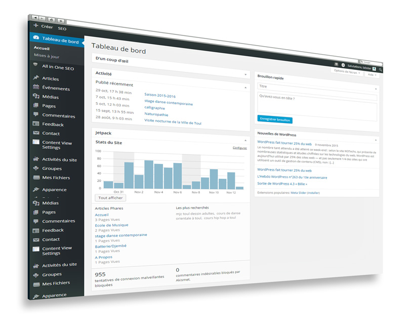 Webmaster Wordpress en Lorraine
